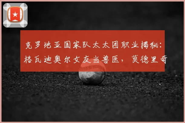 克罗地亚国家队太太团职业揭秘：格瓦迪奥尔女友当兽医，莫德里奇老婆是资深经纪人